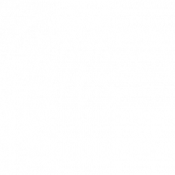 Haagenson Virtual Solutions